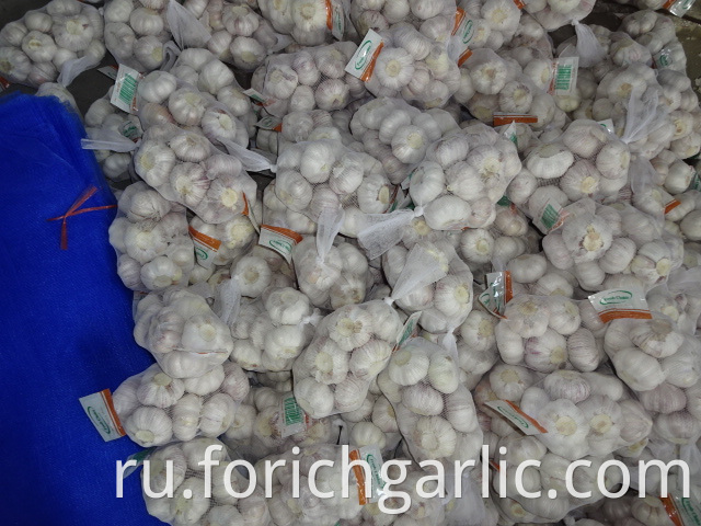 Do You Need To Refrigerate Garlic